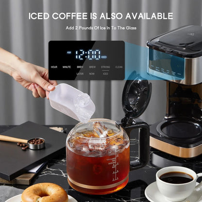 12-Cup Coffee Maker, Iced Coffee, Touch Screen, Strong Brew, Auto Shut-Off